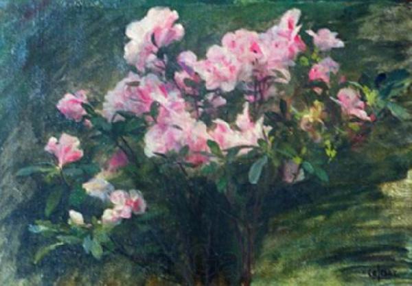 Charles-Amable Lenoir Study of Azaleas Norge oil painting art